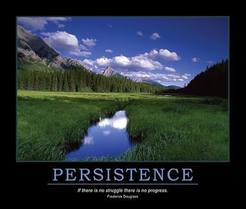 Beispielbild fr Persistence, Frederick Douglass, Lean Manufacturing (Poster) zum Verkauf von Ergodebooks