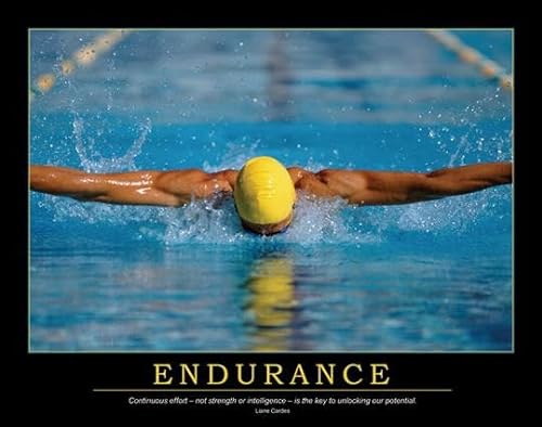 Endurance Poster (9781897363713) by Enna