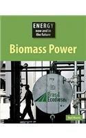9781897563823: Biomass Power