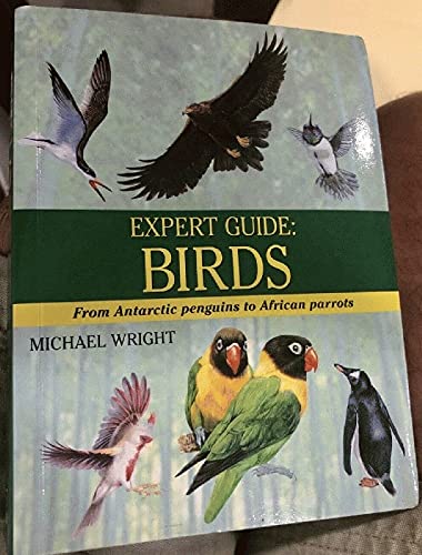 Beispielbild fr Expert Guide: Birds zum Verkauf von Wonder Book