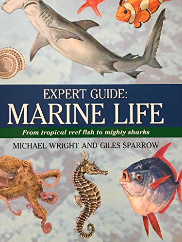 Beispielbild fr Expert Guide: Marine Life zum Verkauf von SecondSale