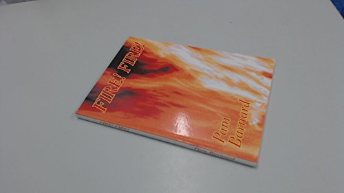 Stock image for Fire! Fire! for sale by Re-Read Ltd