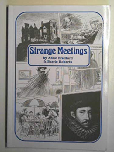 9781898136217: Strange Meetings