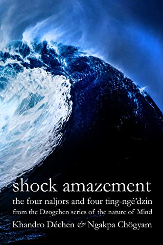 Stock image for Shock Amazement for sale by BooksRun