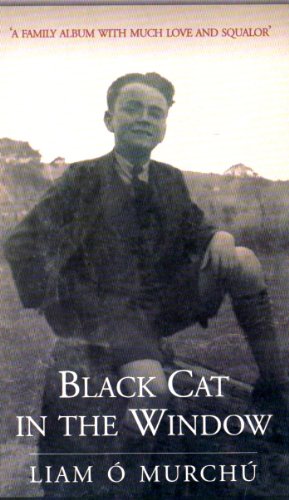 Imagen de archivo de Black Cat in the Window a la venta por WorldofBooks