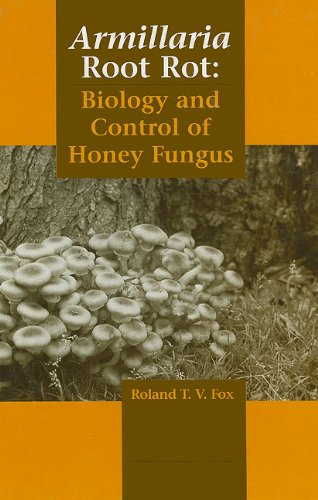 Beispielbild fr Armillaria Root Rot: Biology and Control of Honey Fungus zum Verkauf von WeBuyBooks