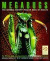 Stock image for Megabugs: The Natural History Museum Book of Insects for sale by Green Street Books