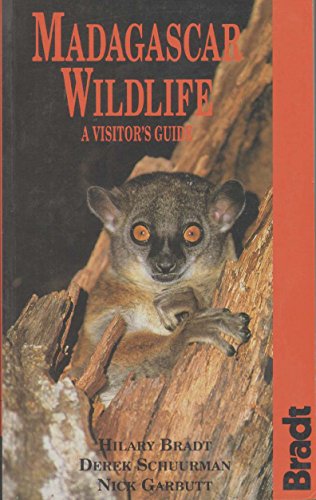 Stock image for MADAGASCAR WILDLIFE A Visitor's Guide for sale by ThriftBooks-Dallas