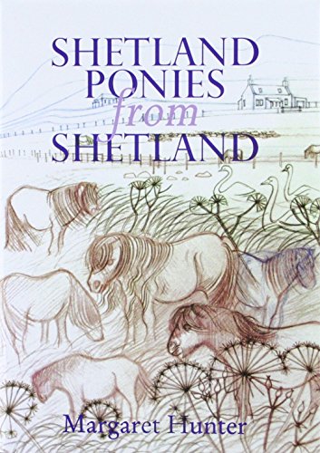 Shetland Ponies from Shetland.