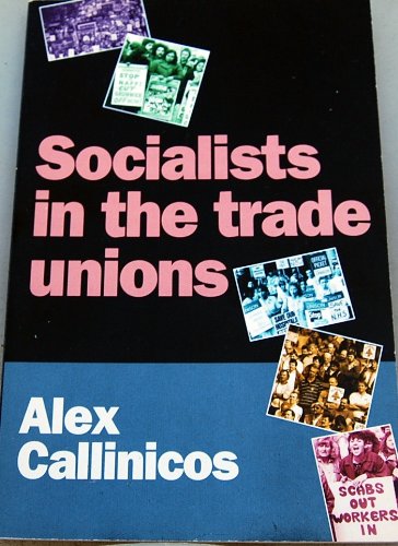 9781898876014: Socialists and the Trade Unions