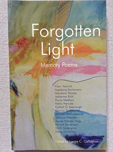 Imagen de archivo de Forgotten Light a la venta por Kennys Bookshop and Art Galleries Ltd.