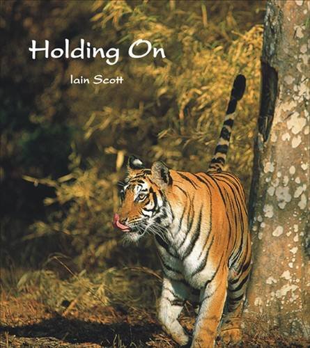 Stock image for Holding On for sale by WorldofBooks