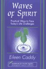 9781899171750: Waves of Spirit: Practical Ways of Facing Today's Life Challenges