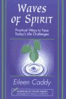 9781899171750: Waves of Spirit: Practical Ways to Face Today's Life Challenges