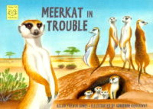 9781899248476: Meerkat in Trouble (Happy Cat Paperbacks)