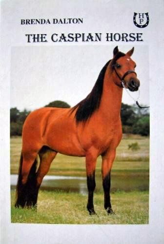 9781899310210: The Caspian Horse