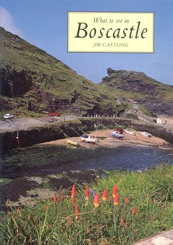 Stock image for What to See in Boscastle for sale by WorldofBooks