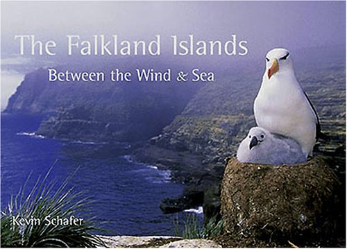 9781899392261: The Falkland Islands: Between the Wind and Sea