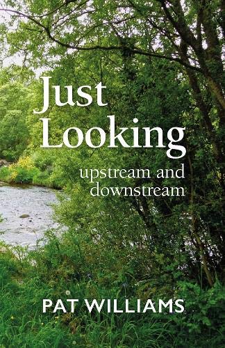 Stock image for Just Looking: upstream and downstream for sale by WorldofBooks