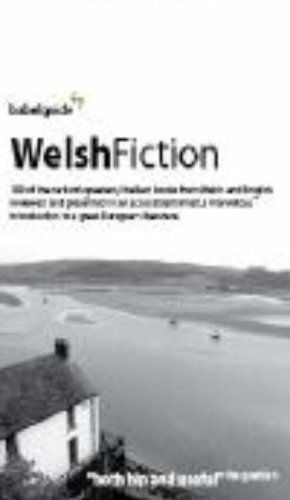 Babel Guide to Welsh Fiction (9781899460519) by Sionedd Rowlands