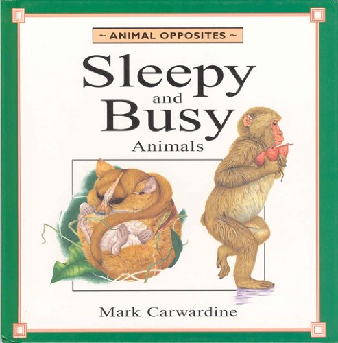 Stock image for Animal Opposites: Sleepy and Busy (Animal Opposites) for sale by Irish Booksellers