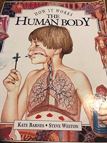 Stock image for How it Works: The Human Body by Kate Barnes (1997) Paperback for sale by Wonder Book