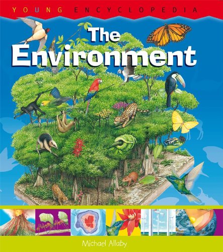 The Environment: What Is the Water Cycle? What Is the Greenhouse Effect? (Horus Editions - Young Encyclopedia) (9781899762835) by Michael Allaby