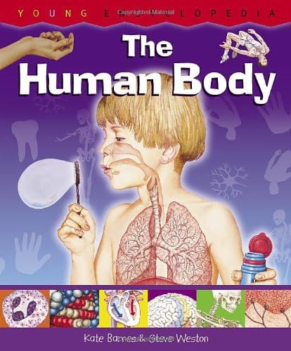 9781899762859: The Human Body