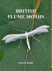 Stock image for British Plume Moths for sale by Blackwell's