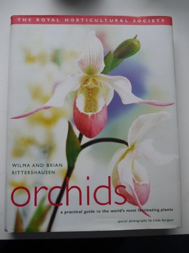 Stock image for The Royal Horticultural Society Orchids for sale by AwesomeBooks