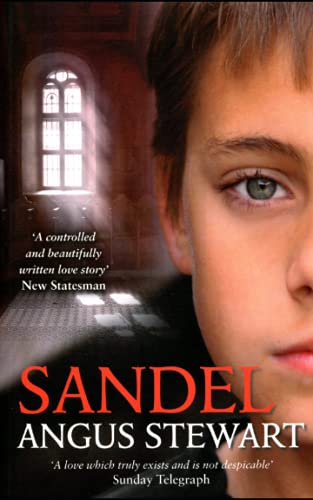 Imagen de archivo de Sandel: A Novel a la venta por WorldofBooks