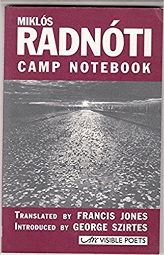 9781900072304: Camp Notebook (Visible Poets)