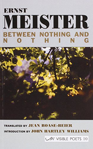 Between Nothing & Nothing (Visible Poets) (9781900072380) by Ernst Meister
