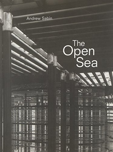 Beispielbild fr Andrew Sabin: The Open Sea zum Verkauf von Karl Eynon Books Ltd