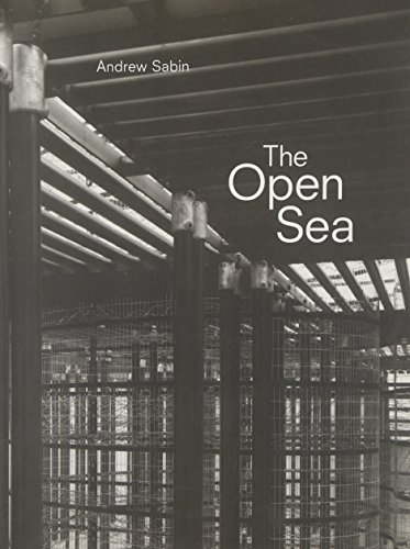 9781900081313: Andrew Sabin: The open sea