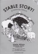 Stable Story! (9781900185158) by Wilson, Sheila