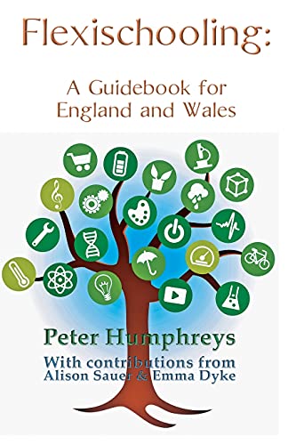 Beispielbild fr Flexischooling Guidebook: England and Wales: England and Wales zum Verkauf von WorldofBooks