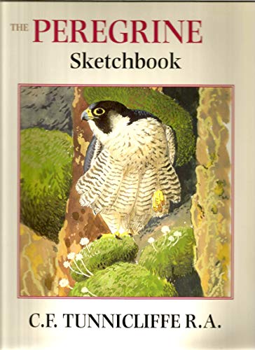 Stock image for The Peregrine Sketchbook for sale by Goldstone Books