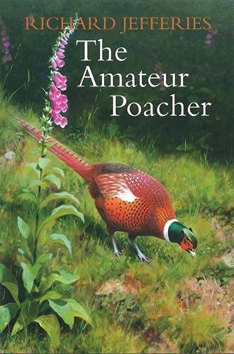Stock image for The Amateur Poacher for sale by WorldofBooks