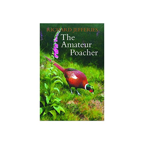 Stock image for THE AMATEUR POACHER. By Richard Jefferies. for sale by Coch-y-Bonddu Books Ltd