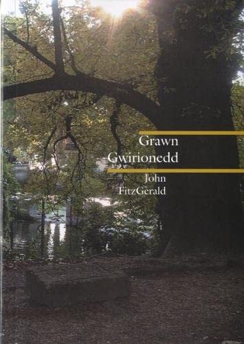 Stock image for Grawn Gwirionedd John FitzGerald for sale by siop lyfrau'r hen bost