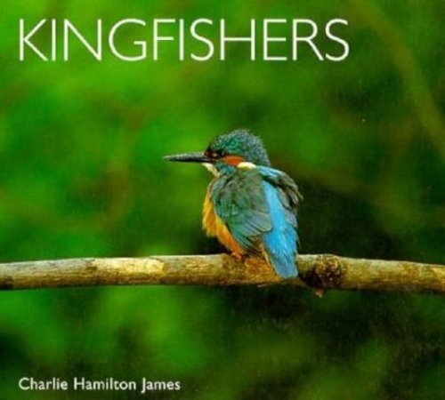 Kingfishers (9781900455251) by Jones, Charlie Hamilton