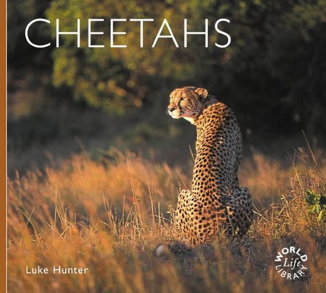 Imagen de archivo de Cheetahs (Worldlife Library) a la venta por WorldofBooks