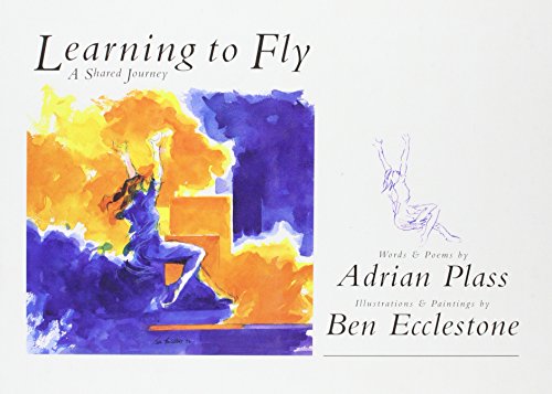 Beispielbild fr Learning to Fly zum Verkauf von WorldofBooks