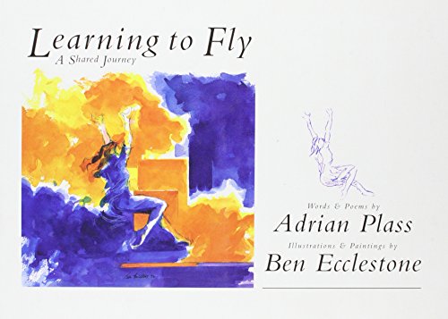 9781900507141: Learning to Fly : A Shared Journey