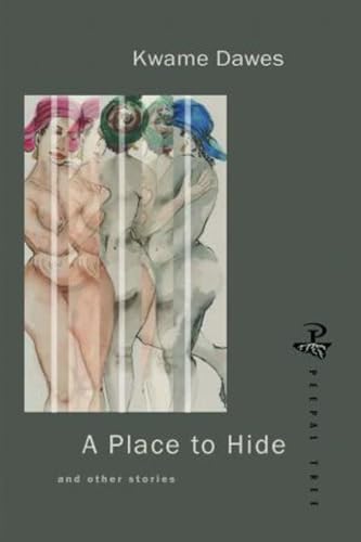 A Place to Hide (9781900715485) by Dawes, Kwame