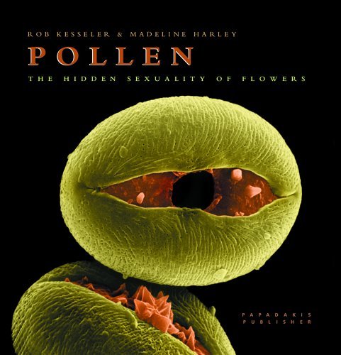 9781901092448: Pollen: The Hidden Sexuality of Flowers