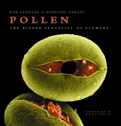 Imagen de archivo de Pollen : The Hidden Sexuality of Flowers a la venta por Better World Books Ltd