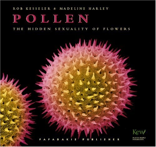 9781901092677: Pollen: The Hidden Sexuality of Flowers