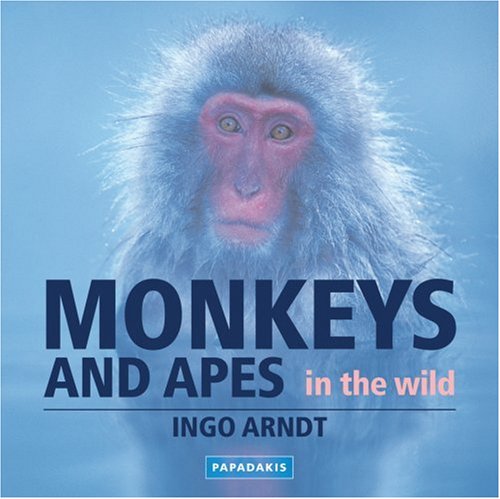 Beispielbild fr Monkeys And Apes zum Verkauf von WorldofBooks